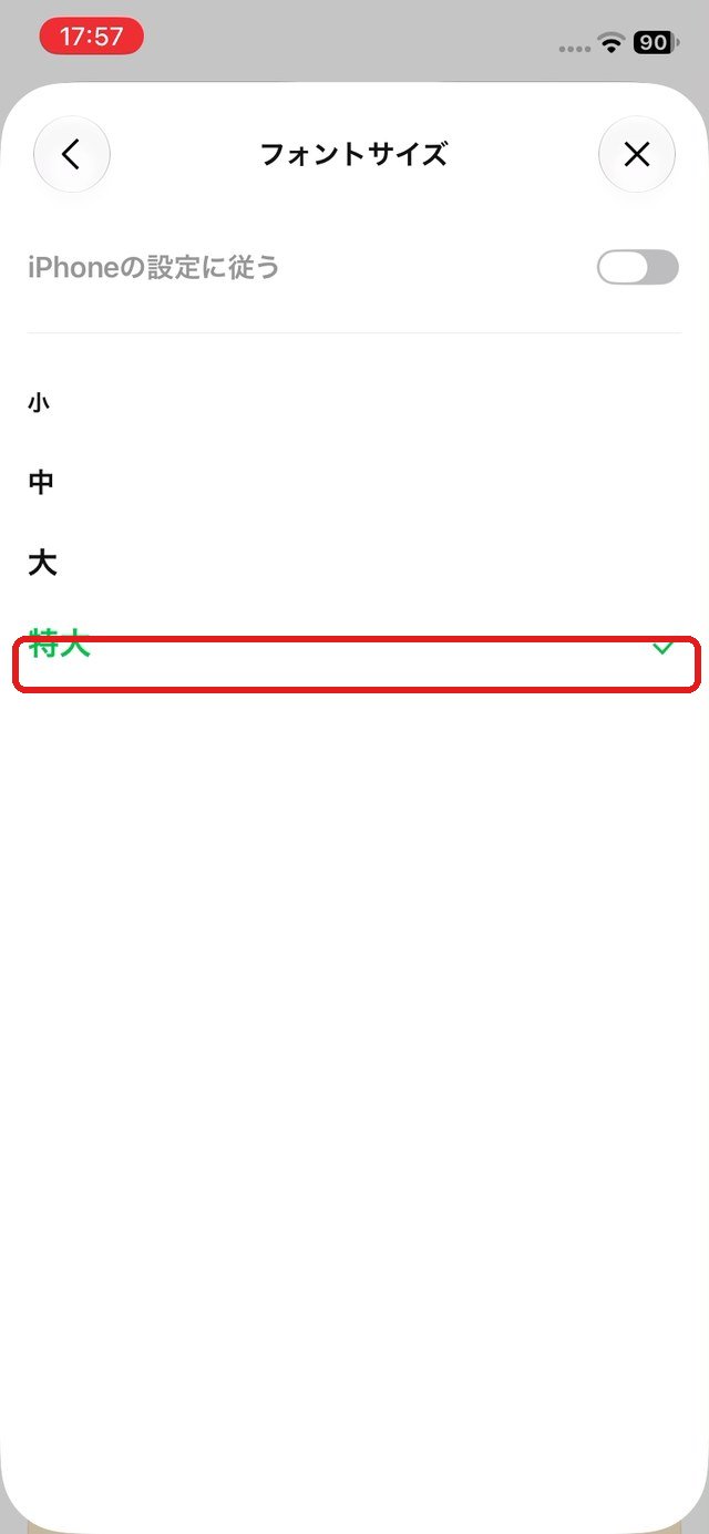 「特大」を選んだ画面
